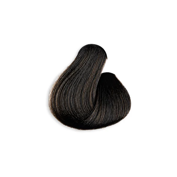 5 Light Chestnut